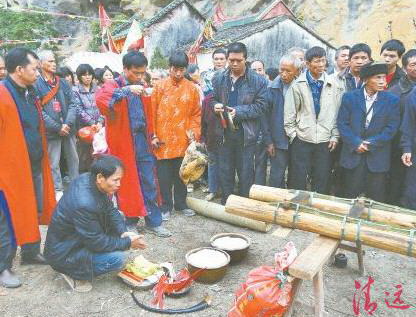 豎起刀桿之前,用活雞鴨來(lái)祭祀祈求平安。
